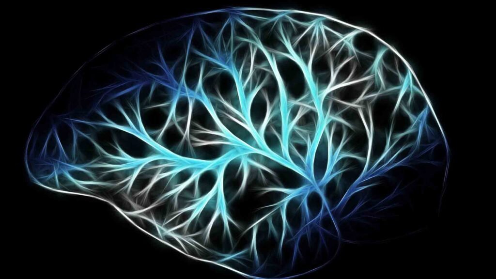 cerebro